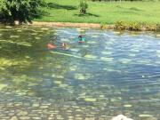 Top Silva Jardim