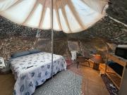 Casa de Campaña en la Pequeña Selva by Legnalife