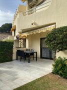 Mimosas Holiday Dream