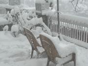 Top Shimla