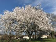 Top Saint-Georges-des-Côteaux