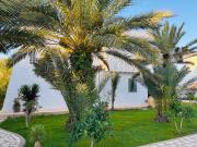 Top Djerba