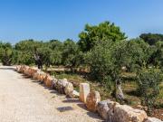 Top Martina Franca