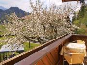 Top Walchsee