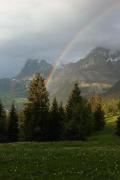 Top Grindelwald