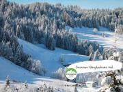 Apartment Baldo by Interhome