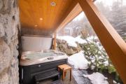 Top Whistler
