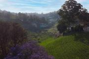 Top Kotagiri