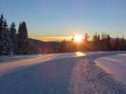 Raffreiderhof Apt Zirbe