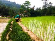 Top Dhulikhel