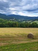 Apartament Różane Wzgórze