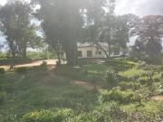 Sembuwatta Lake Polo Bungalow