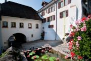 Top Erlach
