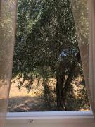 Eirēnē house Afantou