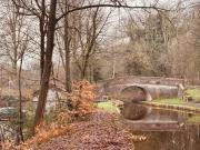 Top Ellesmere