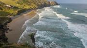Top Coffee Bay