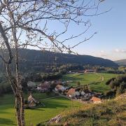 Top Sirod