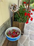 Affittacamere La Casa di Alma