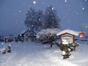 Ferienhaus-Römerthurm