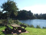 Top Westerholt
