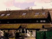 Holiday Home Haus Dünenrose by Interhome