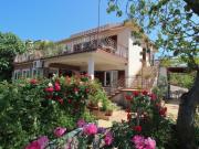 Apartment Apartment Dragica by Interhome