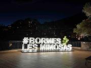 Top Bormes-les-Mimosas