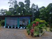 Tropical Crystal House