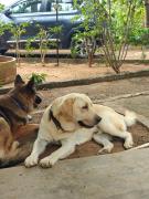 Top Kanchipuram