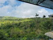 Top Vagamon