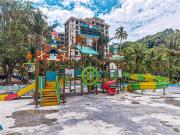Top Lumut