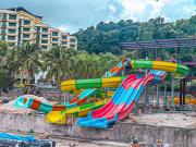Top Lumut