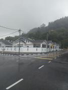 Top Lumut