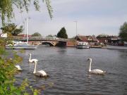 Sandringham Cottage, Wroxham