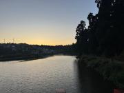Top Mirik