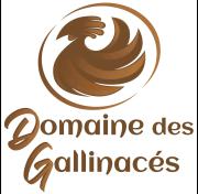 DOMAINE DES GALLINACES CHALET SUSSEX 2-4p