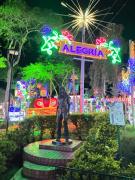 Top Carolina del Principe