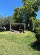 Top San Rafael