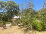 Top Bald Hills