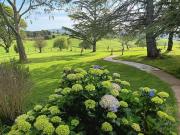 Top Dorrigo Top Dorrigo