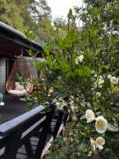 Domoñikemen, los Lleuques, termas de chillan