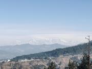 Panchwati Farms Homestay