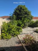 Room for rent female only Free cooking, laundry,,,