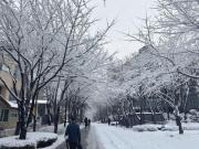 Top Seoul