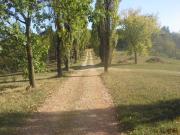 Top Castelnuovo Don Bosco