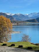 Top Brienz