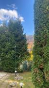Top Sinaia