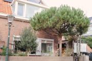 de Watertoren