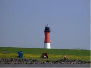 Fischerhus Anne Jensen