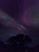 Beach Getaway - Blessington Villa